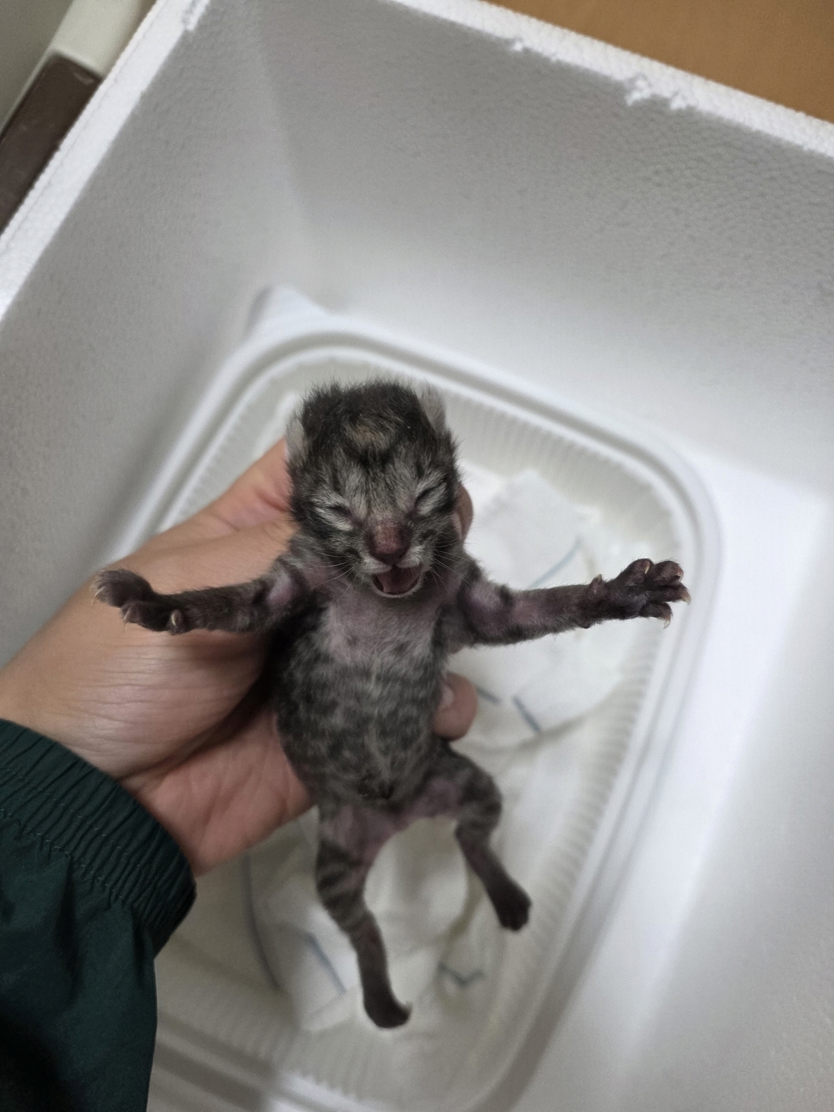 종료(자연사) 한국…